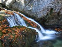 Herbstlaub auf Felsen bei Kaskade